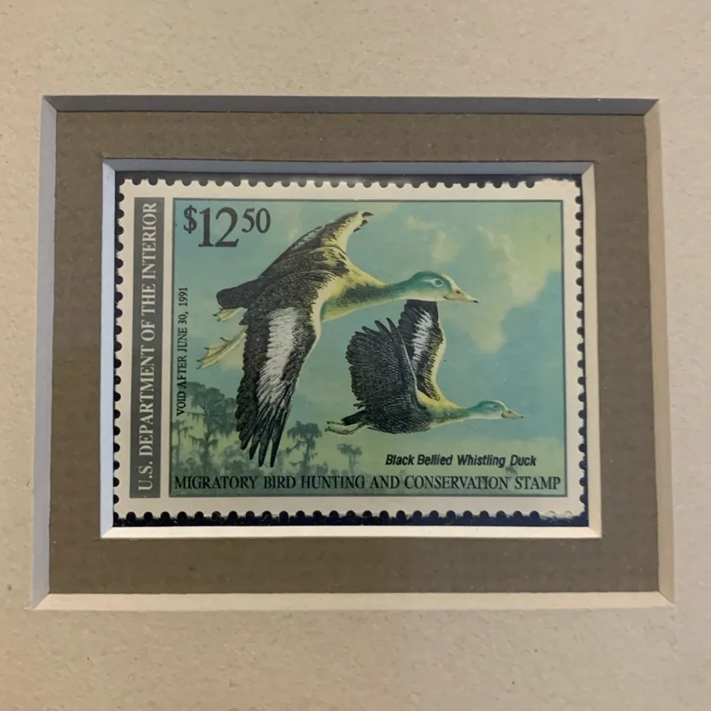 1989 Migratory Bird Hunting Duck Stamp Printd